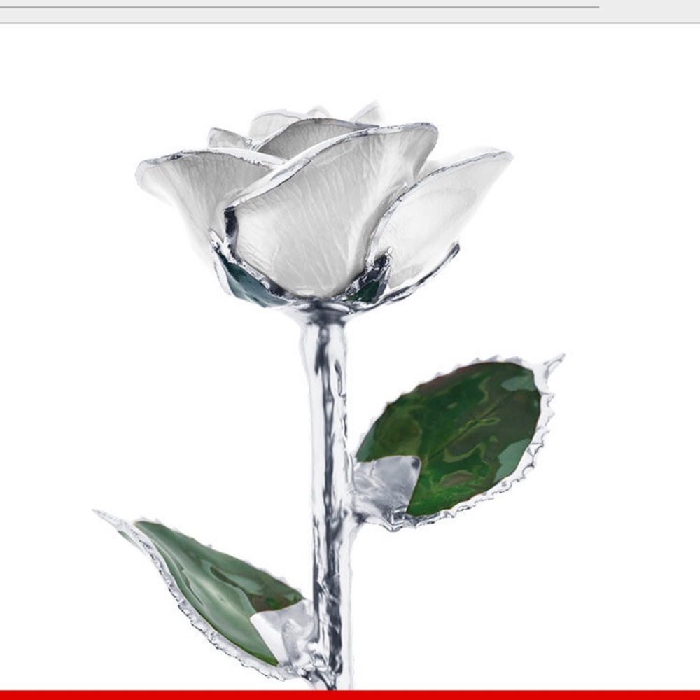 I Hate Steven Singer White Rose dipped in platinum